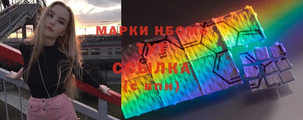 индика Богородицк